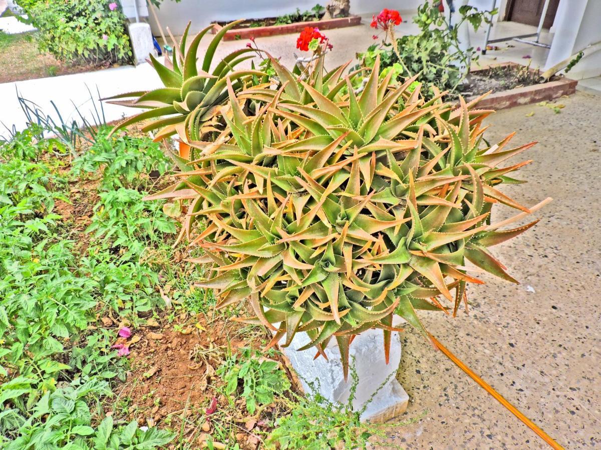 אמופי Maria Apartments מראה חיצוני תמונה